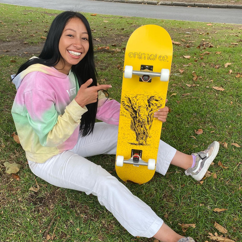 Tablas Completas de Skateboarding