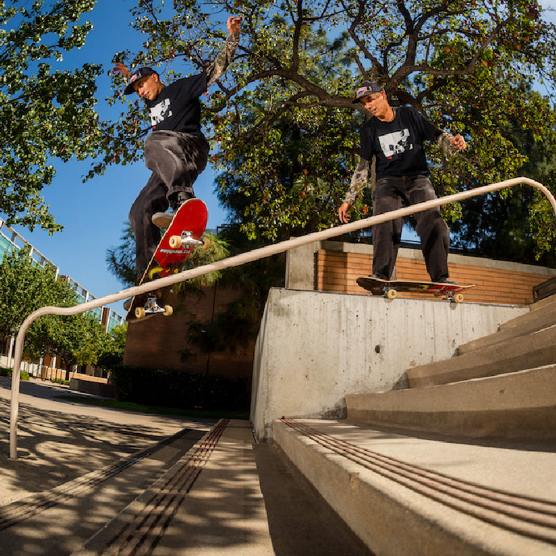 Camiseta Thrasher x Toy Machine Templeton