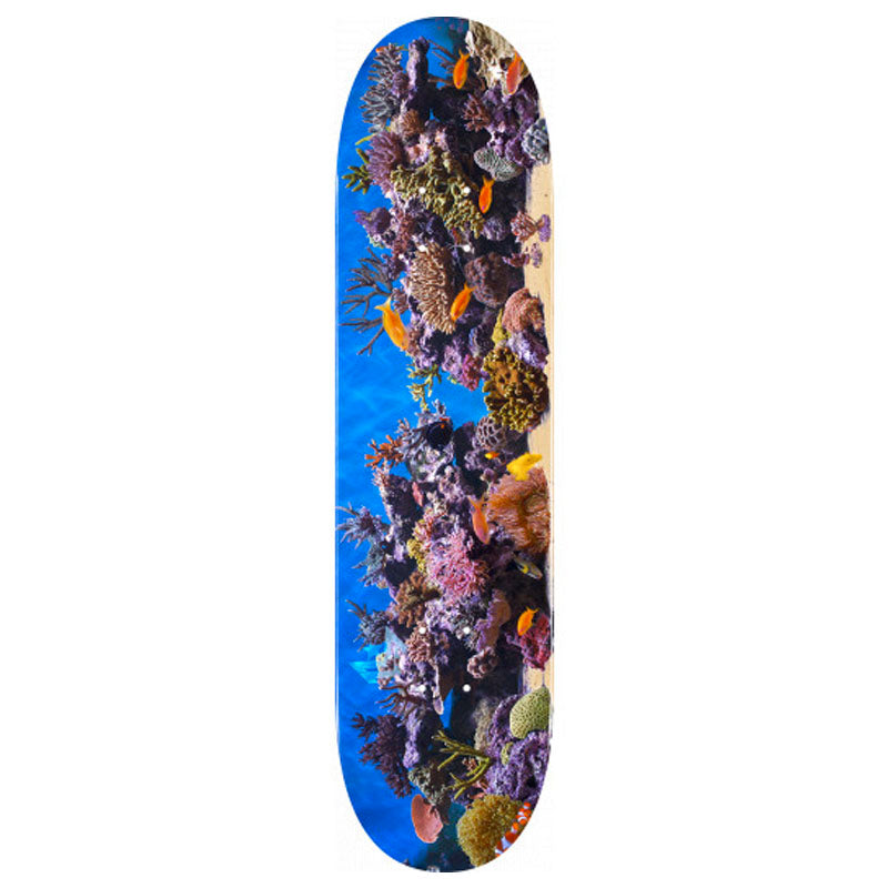 Tabla de skate 'Minilogo Fish Tank 7.5', que presenta un diseño vibrante y colorido inspirado en acuarios. Con un ancho de 7.5 pulgadas, esta tabla es perfecta para skaters que buscan maniobrabilidad o para los más pequeños