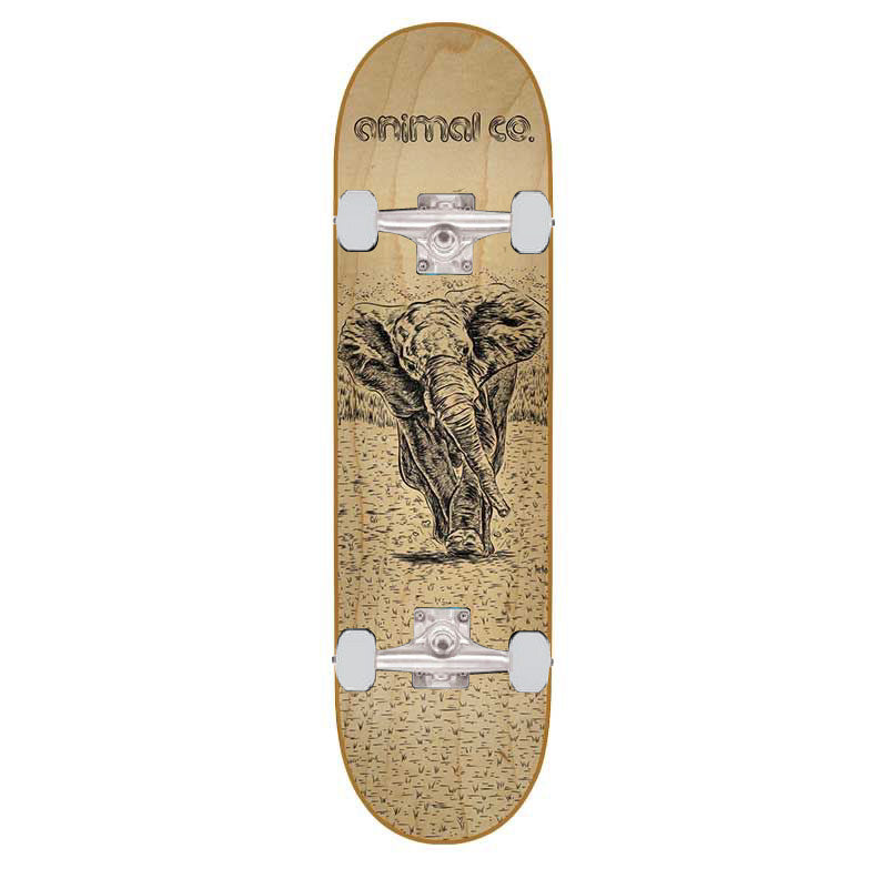 Cruiser Skateboards - Midi Cruiser Longboard - Tabla Complet | Meses Sin Interés