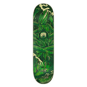 Tabla Creature Gravette Creashia 8.3