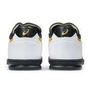 Zapatos Asics Skateboarding Leggerezza White Black