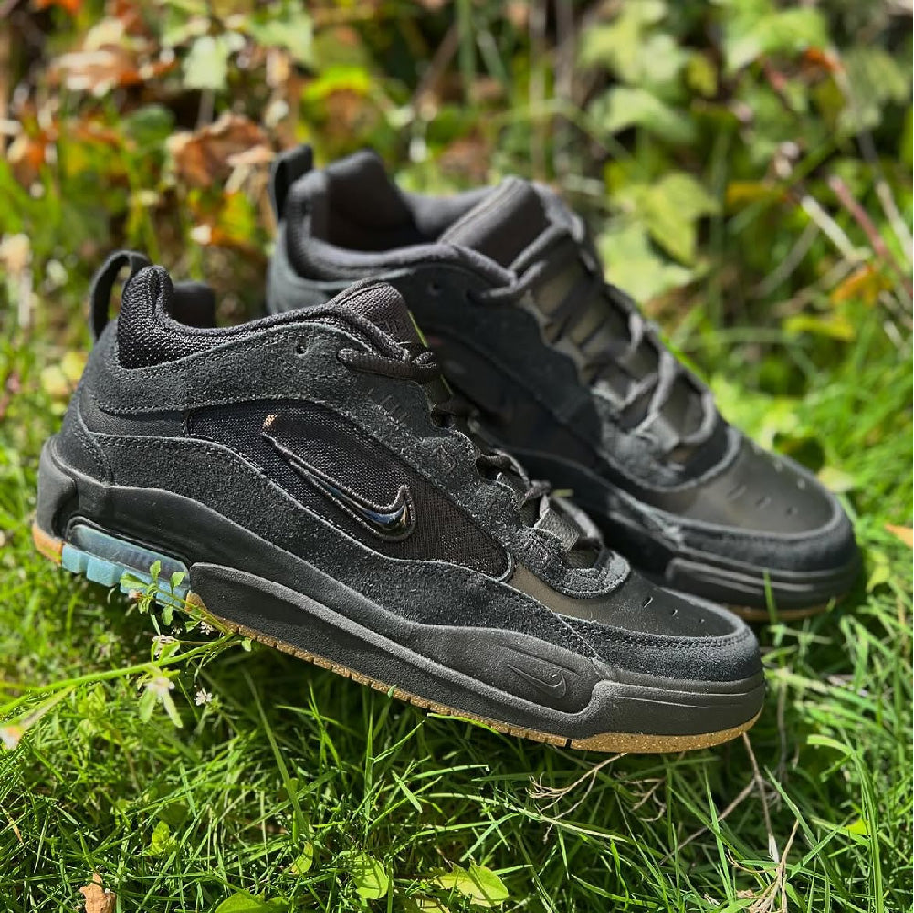 Zapatos Nike SB Air Max Ishod Black Black