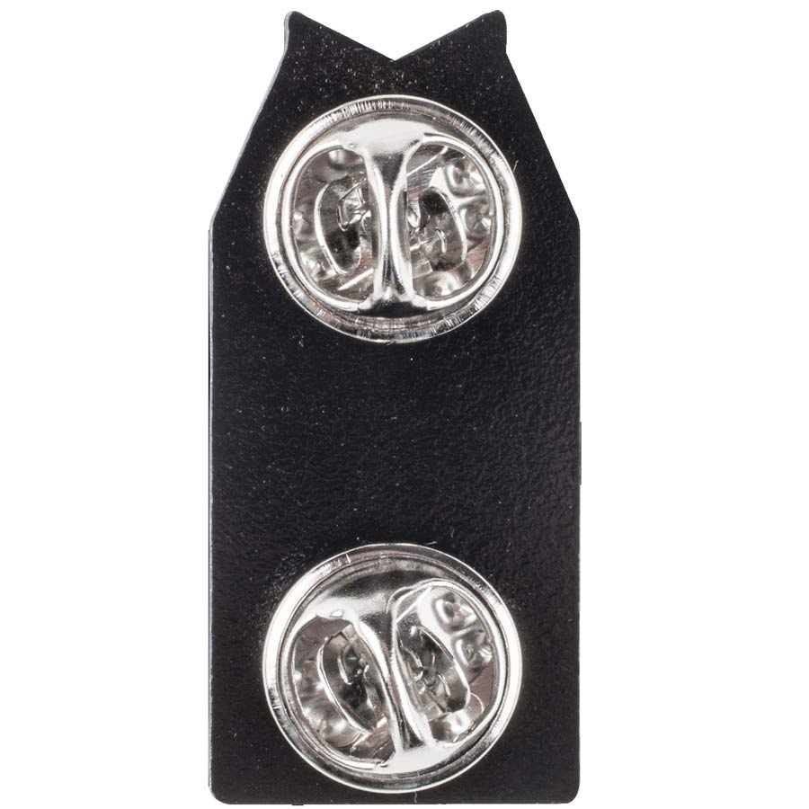 products-BACK-have-you-seen-him-pin.jpg