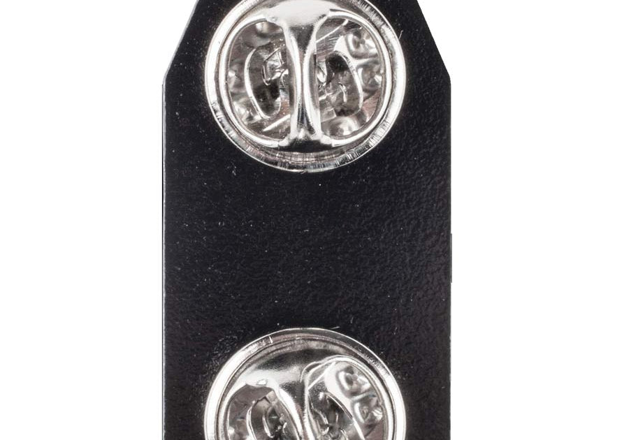 products-BACK-have-you-seen-him-pin.jpg